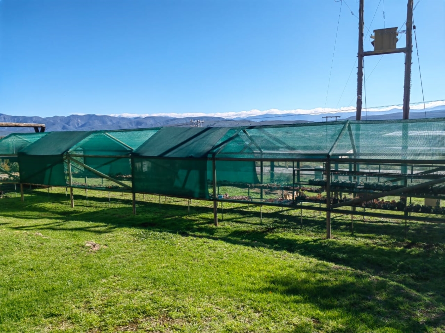 6 Bedroom Property for Sale in Joubertina Eastern Cape